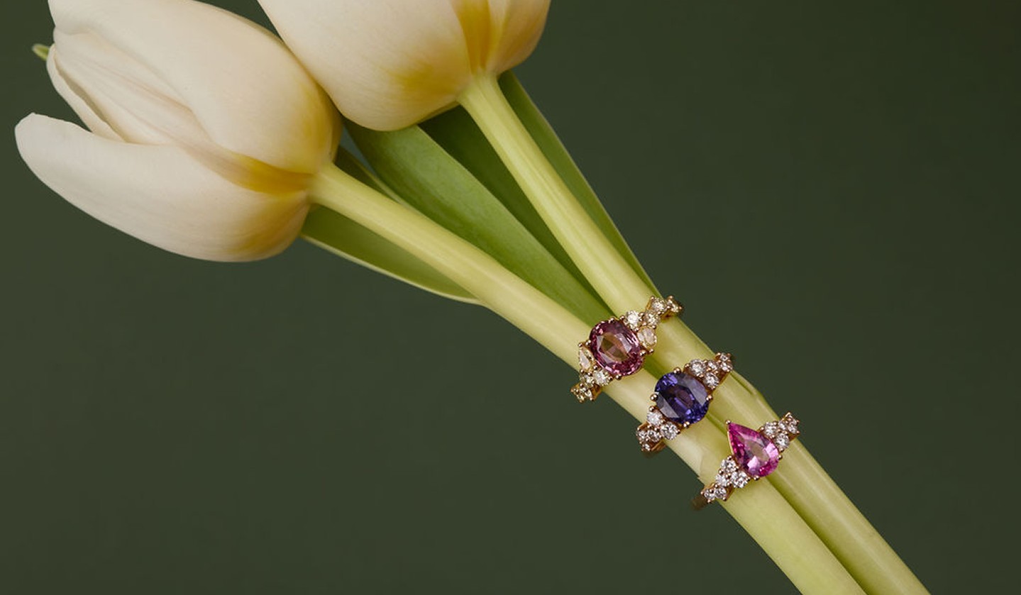 Collection ella banner