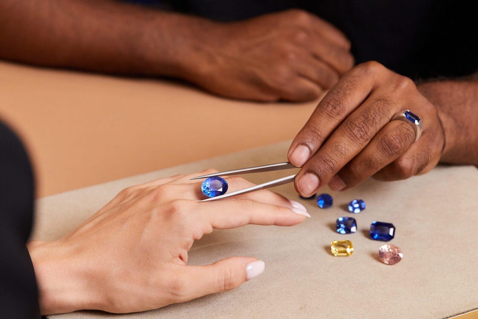 Collection ella banner